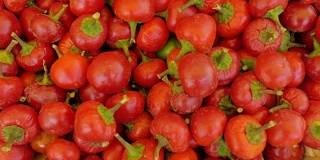 蔬菜市场的新鲜西红柿