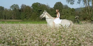 身穿白色礼服的女孩骑着白马在盛开的白花地里
