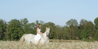 慢镜头:白衣少女无鞍骑白马在盛开的田野里