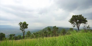 模糊的草与绿色的田野和山的背景