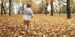 快乐有趣可爱的小男孩跑过落叶，慢悠悠地穿过公园里令人惊叹的秋天小巷