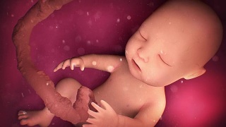 母亲子宫里的人类婴儿视频素材模板下载