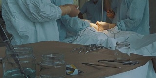 在手术室里，外科手术工具被交给外科医生