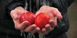 水在人的手中流过红色的西红柿