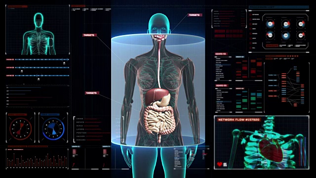 女性身体内部器官扫描，数字显示消化系统