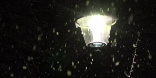 特写:孤独的路灯照亮公园在大雪的夜晚