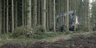 林业收割机工作