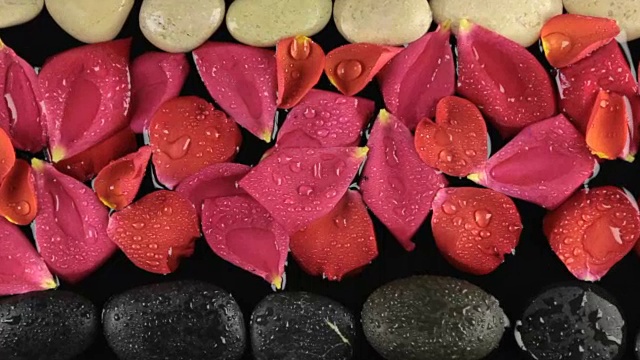 水滴滴落在石头和玫瑰花瓣上。美丽的概念。水疗中心的概念