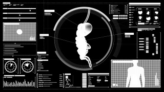 放大人体扫描内脏器官，数字化显示消化系统。视频素材模板下载