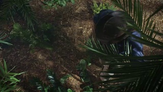 冒险家在帽子中走过丛林森林视频素材模板下载