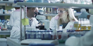 男女科学家都在实验室里用显微镜工作。
