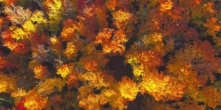 秋季，加拿大安大略省。起飞的视频
