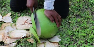 一个人剥一个绿色的大椰子