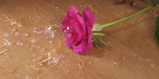 红玫瑰落在木桌上，溅起水花
