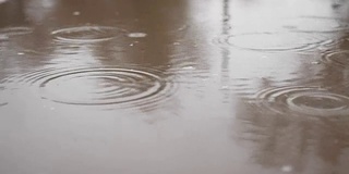 水坑里的雨点溅起秋天蓝色的自然阴沉沉的