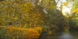 秋天，安静的河流和公园里的树木