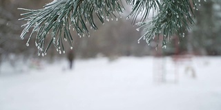 概念-现代生活。男人和狗在冬天的森林散步，下雪。