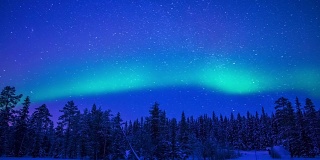 冬日森林上空的北极光。时间流逝