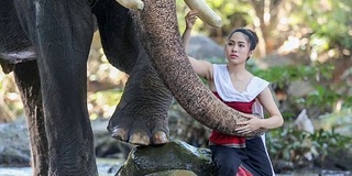 亚洲女人和大象在小溪，清迈。