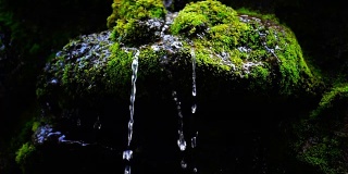 瀑布飞溅的慢镜头近景，泉水下落时，滴落在覆盖着绿色苔藓的岩石上