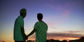亚洲老年夫妇手牵手，在魔幻时刻天空和月亮的背景下，一起享受幸福生活的时刻