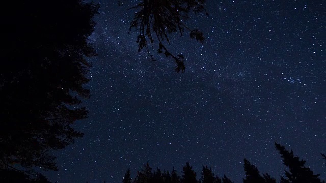星星时间流逝天空旋转空间与森林前景天体摄影