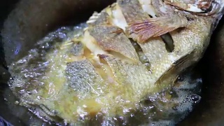 在锅里进行煎炸的罗非鱼(近景)视频素材模板下载