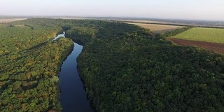 小河流，秋季森林，耕地鸟瞰图。秋天的风景