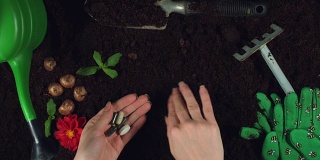 4k园艺组成手挖土壤维生素药物