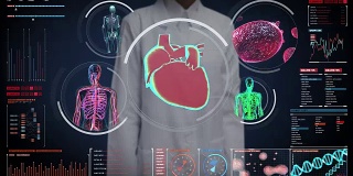 女性医生触摸数字屏幕，女性身体扫描血管、淋巴、心脏、循环系统的数字显示仪表盘。蓝色x射线的观点。