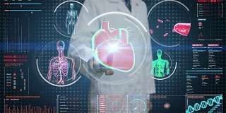 医生触摸数字屏幕，女性身体扫描血管、淋巴、心脏、循环系统的数字显示仪表盘。蓝色x射线的观点。