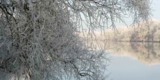 在哈维尔河(哈维尔兰，勃兰登堡-德国)雾凇霜景观。早上时间。
