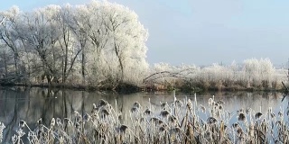 在哈维尔河(哈维尔兰，勃兰登堡-德国)雾凇霜景观。早上时间。