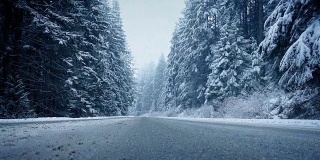 在大雪中穿越森林路