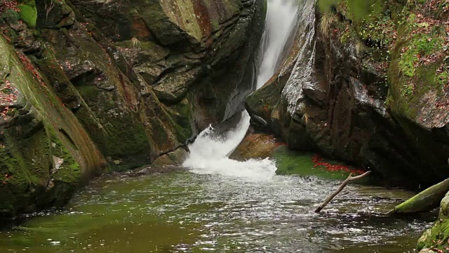 自然视频-水和树叶在巨大的山脉，Karkonosze，波兰