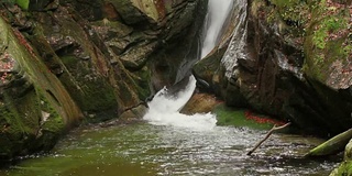 自然视频-水和树叶在巨大的山脉，Karkonosze，波兰