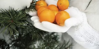 棕榈树中的橘子，映衬着冬日的风景