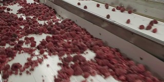 冰冻树莓的工业加工