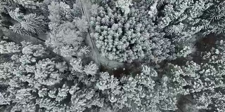 在多雪的冬天，空中降落在树林里