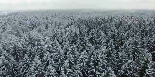 冬天森林的上升空中