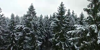 冬天森林的上升空中