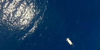 缩小航拍帆船在蓝色的海洋背景