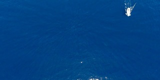 平视航拍与蓝色海面和白色帆船从顶部滑动