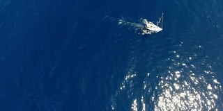 镜头旋转航拍与帆船对抗海军蓝色水面