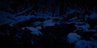 雪夜穿越森林河