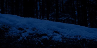 在夜里经过的被雪覆盖的原木