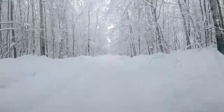 在下雪的乡村道路上驾驶POV。冬季雪山公路驾驶。森林
