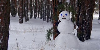 松树林里的雪人站在户外