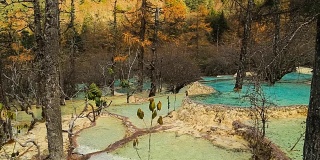 中国四川美丽的自然钙化池黄龙山