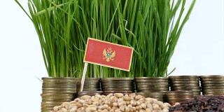 黑山国旗飘扬着成堆的钱币和小麦